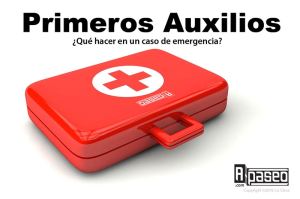 Primeros auxilios