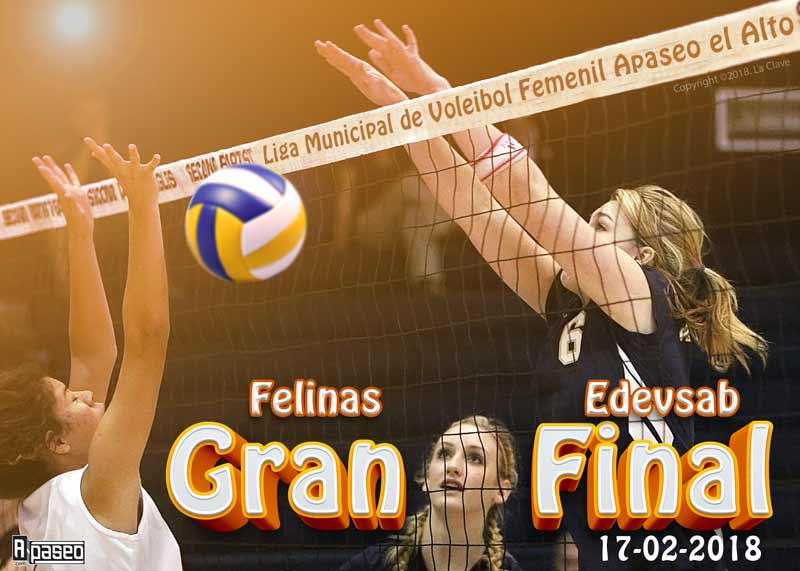 Final voleibol Apaseo 2018