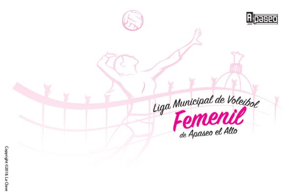 Liga Voleibol Femenil portada