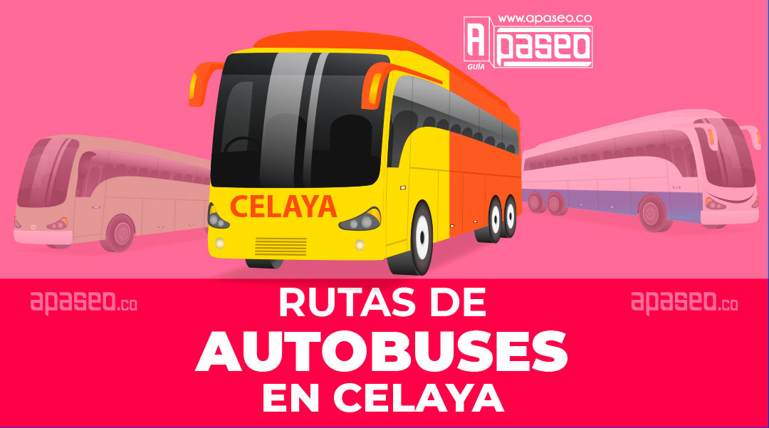 Rutas de autobuses de Celaya, rutas de transporte urbano en Celaya