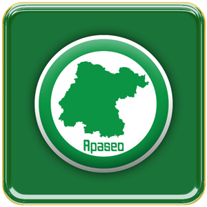 Mapas de Guanajuato y la Región