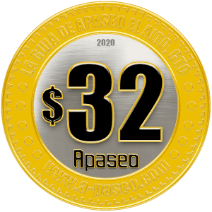 Pasaje de Apaseo el Alto a Celaya