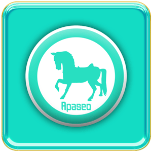 Artesanías de Apaseo el Alto