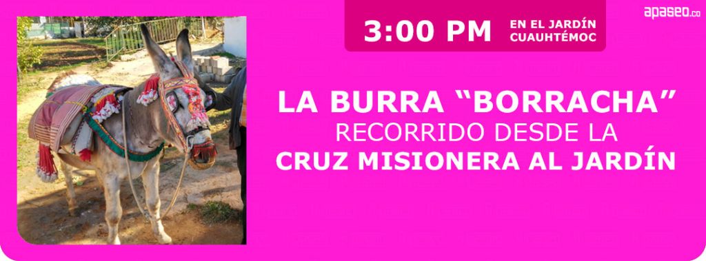 Evento de la Burra borracha en la novena Feria de la Granada en Apaseo el Alto 2025. Sábado 30 de agosto 3:00 PM.