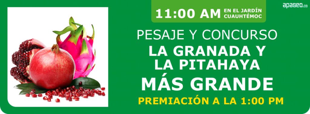 Pesaje y concurso "La granada más grande y la pitahaya más grande" en la octava Feria de la Granada en Apaseo el Alto 2025. Viernes 29 de agosto 11:00 AM.