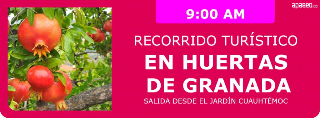 Recorrido turístico a través de las huertas de granada en la novena Feria de la Granada en Apaseo el Alto 2025. Sábado 30 de agosto 9:00 AM.